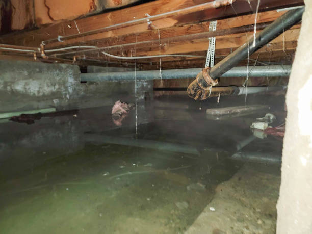 Best Flooded house restoration  in Brookston, IN
