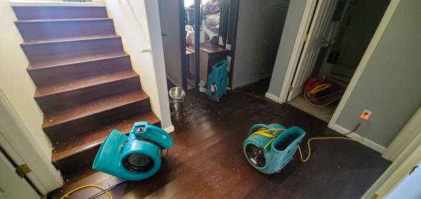 Best Water damage contractors near me  in Brookston, IN