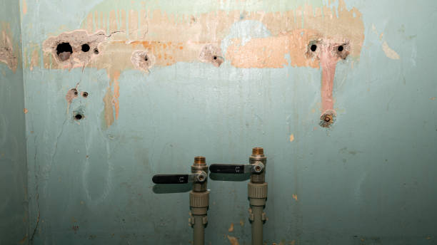 Best Emergency water damage restoration  in Brookston, IN