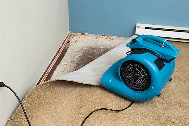Best Basement water damage restoration  in Brookston, IN